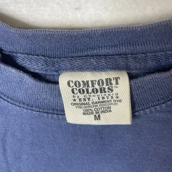 Comfort Colors New Orleans Graphic T Shirt Short Sleeve Crew Neck Blue Size M - Picture 3 of 6